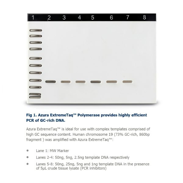 ExtremeTaq DNA Polymerase by Azura Genomics PCR Enzymes-1